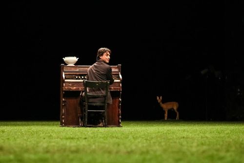 1452323_585891481465469_1854022361_n