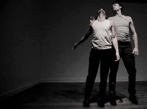 ARMS, butterfly1_132