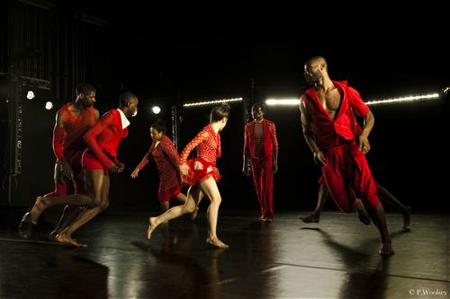 Photo Peggy Woolsey_dancersAnna Schön, Raja Feather Kelly, Dwayne Brown, Rhetta Aleong, Lawrence Harding, Paul Hamilton, Clement Mensah