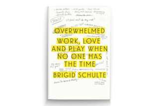 Overwhelmed_book_cover