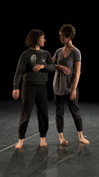 Lions jaw performance