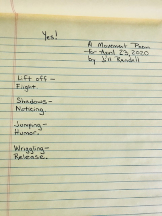 6a015431f12312970c0263e95bfdcb200b-800wi