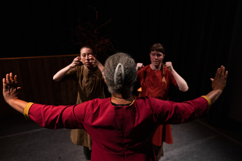 A Black woman with grey hair is seen from the back, her arms stretched wide, palms up as if to stay stop, cease to the two younger women, one Asian, the other white, who face her with both fists held high.